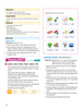 Speed Phonics 3 Teacher's Manual